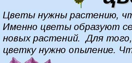 ответь на вапросы пожязя 1. как при растения к росту на суше или в воде ? 2,почему растения образуют