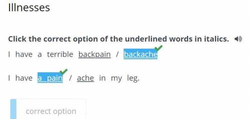 Click the correct option of the underlined words in italics. I have a terrible backpain / backacheha