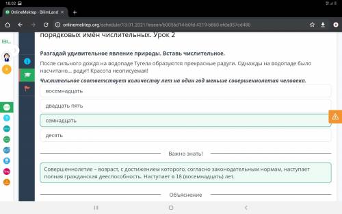 Водопад - уникальное явление природы. Правописание Количественных и порядковых имён числительных. Ур