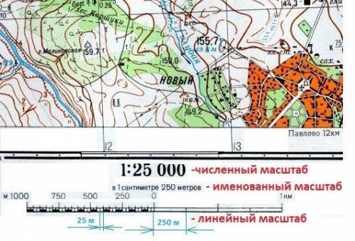 3. Измерения сада прямоугольной формы на плане с масш- табом 1: 200 равны 50 см и 60 см. Найдите пло