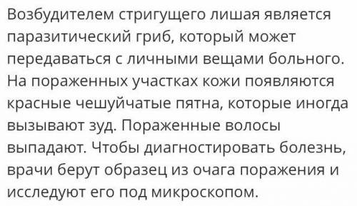 Причины и последствия кожных заболеваний (чесотки, лишая, угревой сыпи). Симптомы и меры профилактик