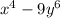 x^4-9y^6