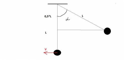 Маятник математически отвели на угол 60° и отпустили с нулевой начальной скорости. Длина нити 90 см.