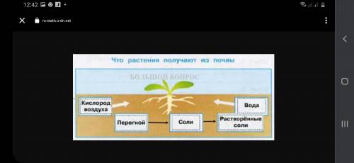 Составь модель почвы своей местности. Подпиши слои почвы.Определи вид почвы. ​