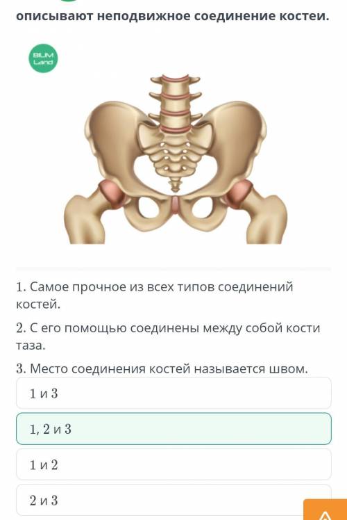 Определи, какие из утверждений правильно описывают неподвижное соединение костей. 1. Самое прочное и