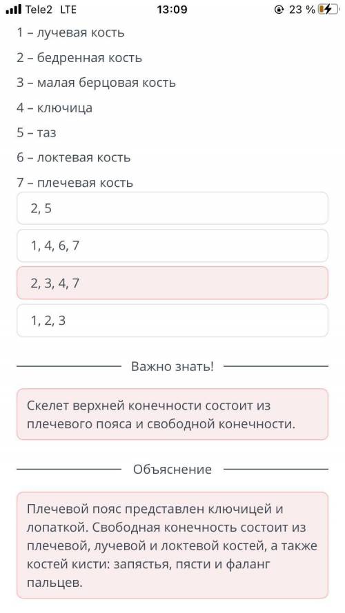 Строение скелета человека. Роль и функции опорно-двигательной системы Из представленного списка выбе