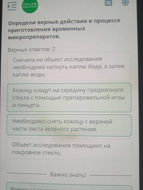 Определи верные действия в процессе приготовления временных микропрепаратов. Верных ответов: 2​