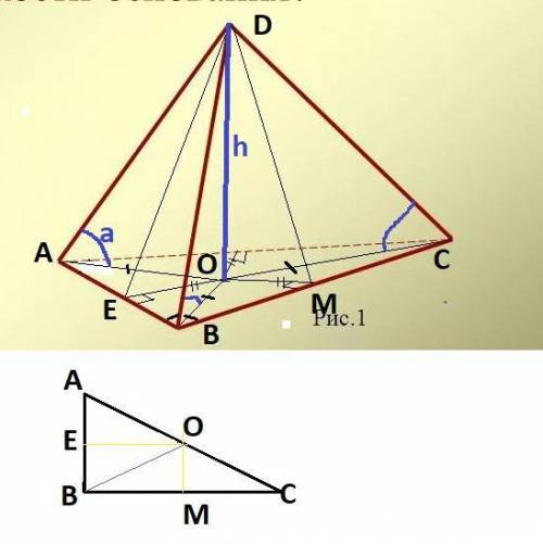 В основании пирамиды лежит прямоугольный треугольник с катетами 15 и 15√3. Каждое боковое ребро пира
