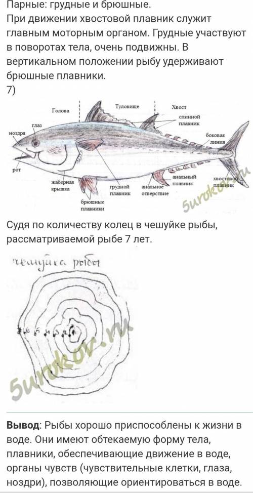 Лабораторная работа по биологии номер 6, 7 класс Константинов