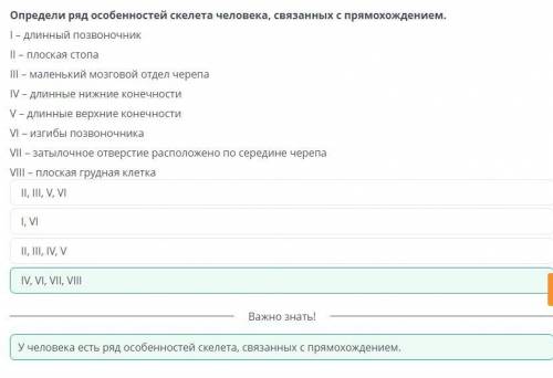 Биомеханические особенности движения человека в связи с прямохождением Определи ряд особенностей ске