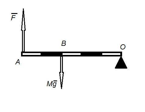 Клегкому рычагу на невесомой нити подвешен груз массой т = 0,80 кг. Определите модуль силы F, прилож