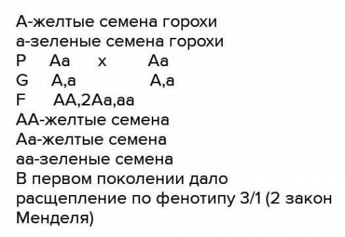 Соотнесите скрещивание и вероятное расщепление по фенотипу в полученном потомстве. Для каждого скрещ