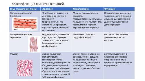 мне мне очень надо ну чем смодите​