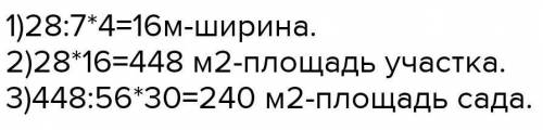 У фермера Петра Грушина есть участок земли прямоугольной фор- мы. Длина участка равна 28 м, что сост