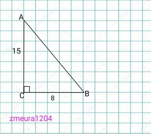 Катети прямокутного трикутника дорівнюють 8 см і 15 см.Знайти синус гострого кута А і кута В