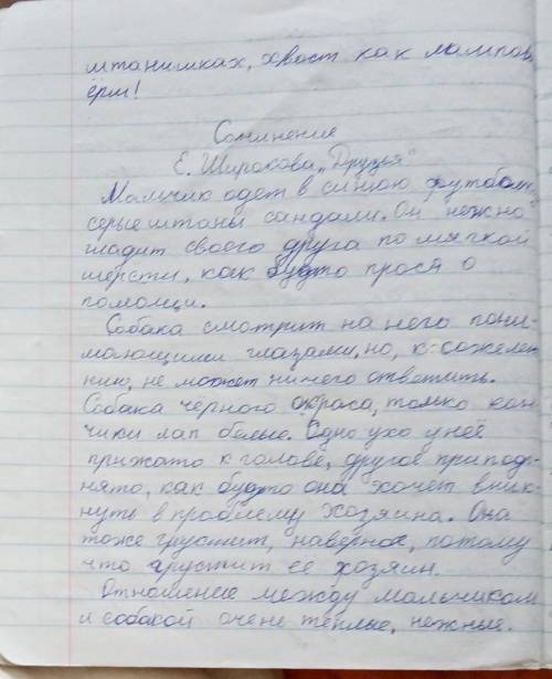 Напишите сочинение описание-рассуждение по картине Е. Широкова Друзья