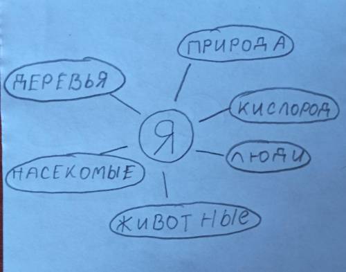 Творческое задание: Составь кластер на тему «Мир вокруг меня»В центре нарисуй круг и напиши в нём «Я