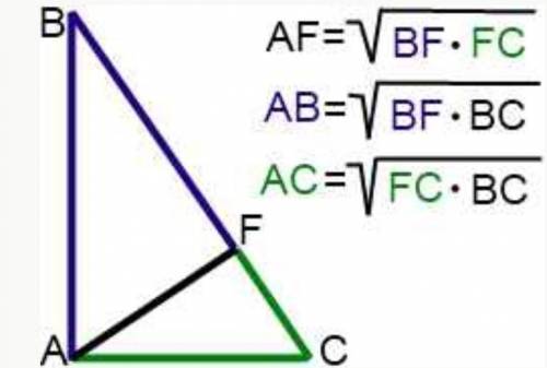 Найдите неизвестные линейные элементы треугольника MNK (угол К=90°)​
