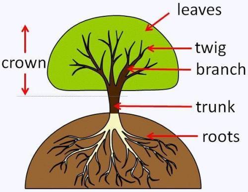 8.4.5.1 Label the diagram. Use the headings fromthe texts.1)2)3)4)5)