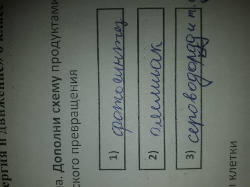 Определи, схема какого химического процесса изображена. Дополни схему продуктами выделения, образующ