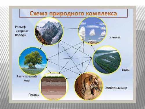 Географическая оболочка – это цельная оболочка Земли, где ее составляющие тесно взаимодействуют, обм