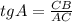 tg A=\frac{CB}{AC}