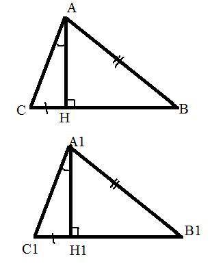 6. У гострокутних трикутниках ABC i A1,B1,C1, провели висоти AH і А1.Н1.. Доведіть, що коли AB = A1,