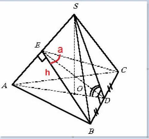 ￼ Все плоские углы при вершине треугольной пирамиды равны 30 градусов. Определите двугранные углы пр
