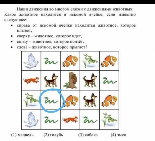 Необходимо определить животное в искомой ячейке?