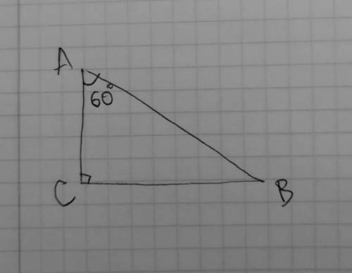 В прямоугольном треугольнике ABC2C = 90°, 24 = 60°. Найдите гипотенузу и меньший катет этого треугол