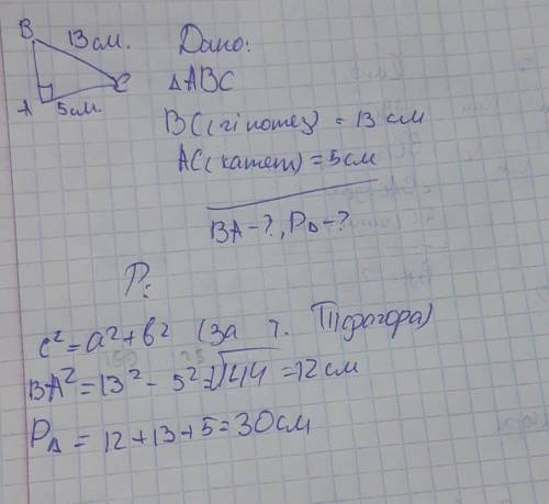 1. У прямокутному трикутнику гіпотенуза дорівнює 13 см, а один із катетів - 5 см. Знайдіть периметр
