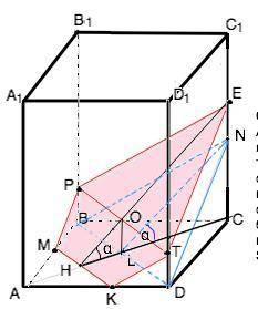 Основа ABCD прямокутного паралелепіпеда ABCDA1B1C1D1 є квадратом. Точка M — середина ребра AB, точка
