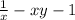 \frac{1}{x} -xy-1