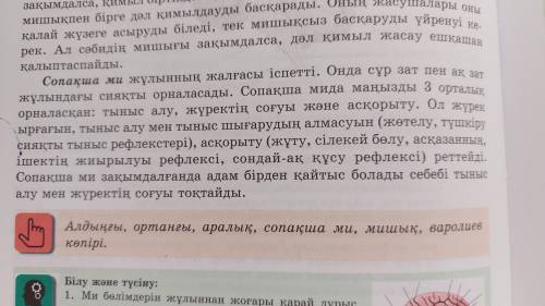 Перечислите функции, которые выполняет отдел головного мозга под цифрой 6 [1]2. Назовите отдел голов