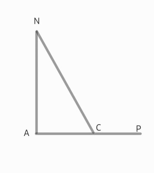 Дан прямоугольный треугольник ANC и внешний угол угла ∡ C. N Arejs_lenkis.png A C P Определи величи