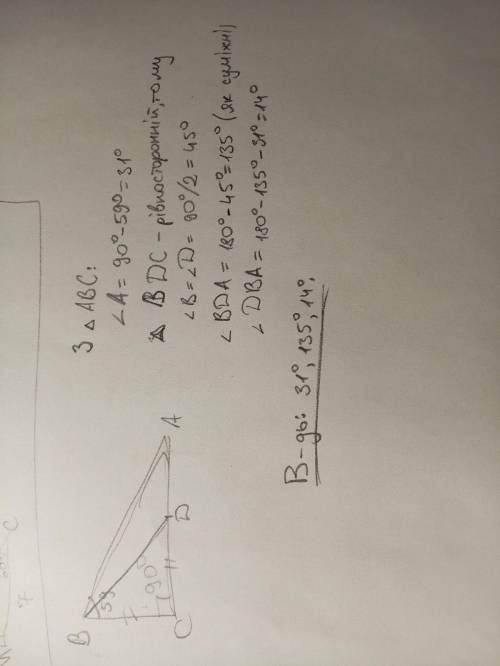 ЗА ОТВЕТ НА УКРАИНСКОМ ЯЗЫКЕ. ТЕМА СУМА КУТІВ ТРИКУТНИКА. У трикутнику ABC кут C=90°, а кут B=59°. Н