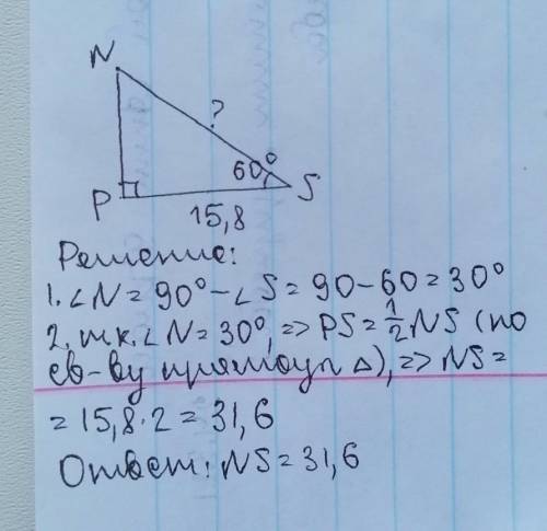 в прямоугольном треугольнике NPS с прямым углом P катет PS равен 15,8, а угол S равен 60°. Найдите д