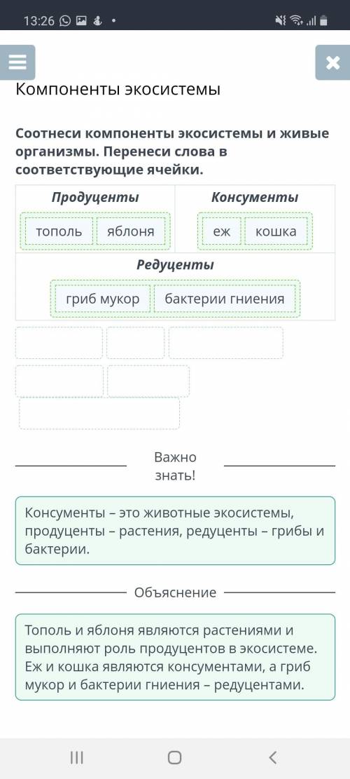 Соотнеси компоненты экосистемы и живые организмы. Перенеси слова в соответствующие ячейки. Продуцент