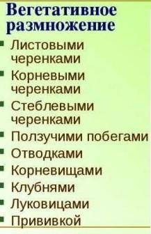 1.что такое вегетативное размножение растений? Дать определение 2.определите вегетативное размножен