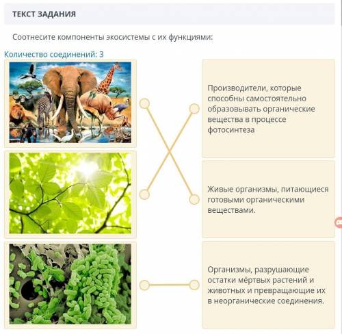 СССТВОЛОВ - 20 Задание № 1Соотнесите компоненты экосистемы с их функциями:3.A) Производители, которы