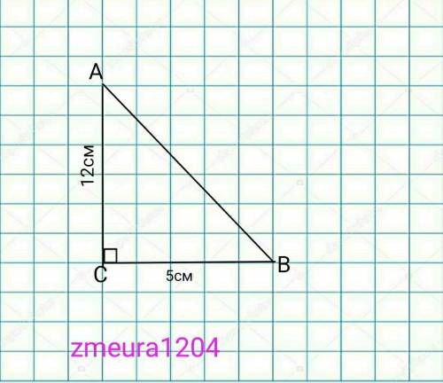 Дано прямокутний трикутник АВС(<С=90ГРАДУСІВ),ВС=5СМ, АС=12СМ. Знайти сінус А​