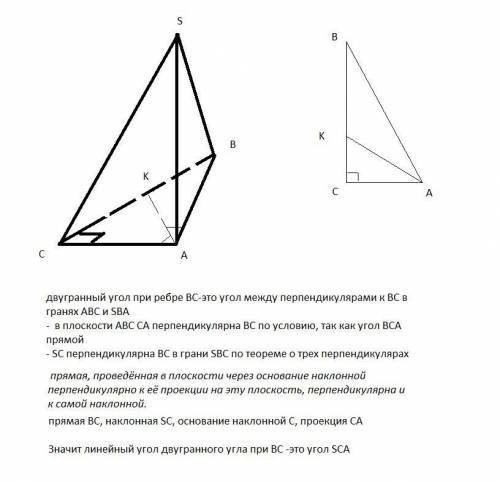 В пирамиде SАВС плоскости SА – высота. В треугольнике АВС∠АCВ=90°; АК – биссектриса. Указать линейны