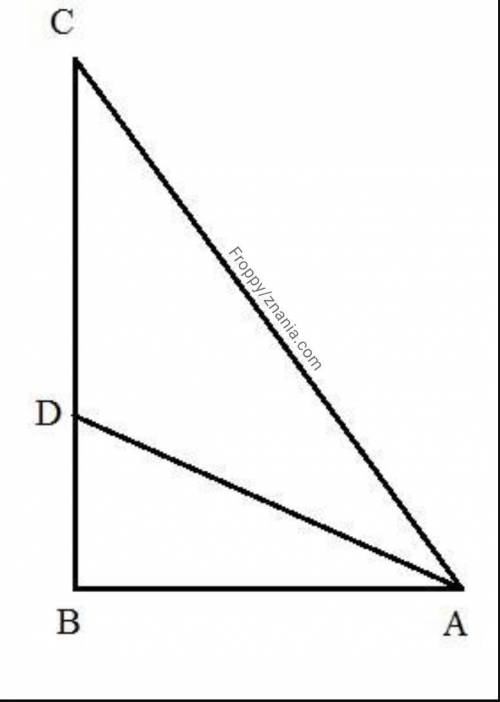 В прямоугольном треугольнике (∠B = 90°) величина угла A составляет 60°. Из вершины угла A проведена