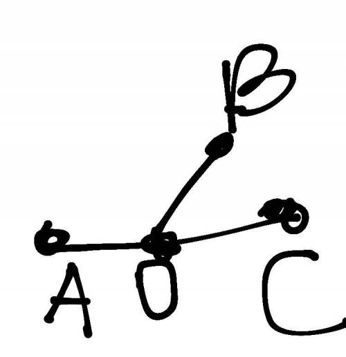 Найдите углы AOB и BOC , если AOB на 50 больше, чем BOC , а AOC – развернутый. Построй чертеж.​