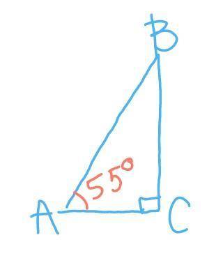 Один из острых углов прямоугольного треугольника равен 550. Найти и записать величины всех углов дан