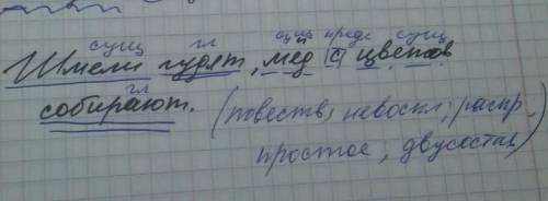 Синтаксический разбор предложения шмели гудят, мед с цветов собирают ​