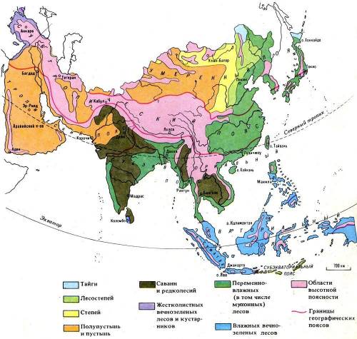 Пользуясь картой ,заполните таблицу по природным зонам Южной Азии