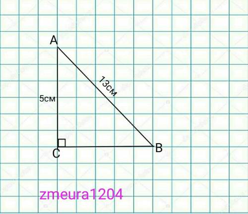 У трикутнику АВС кут С=90°АВ = 13 см. АС= 5см.знайдіть: sinB, cosB, tgB, ctgB. ​