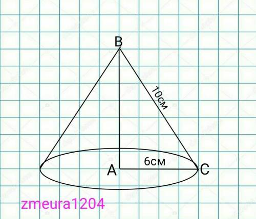 найдите площадь основания тела, полученного при вращении прямоугольного треугольника с катетом 6 см