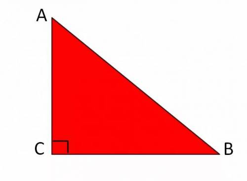 один из катетов прямоугольного треугольника равен 16 см, а синус угла, лежащего против него,равен 0,